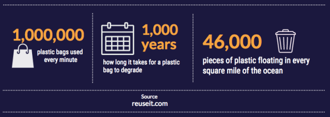 Screen Shot 2017-10-15 at 11.50.10 AM